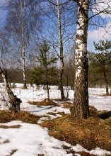 Spring / *****