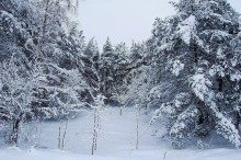 Snow paradise / listening ATB: "too much rain in the paradise"