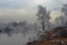 Etude with fog / ***