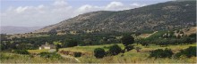 "Golan Heights" / ***