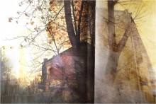 tree / ***