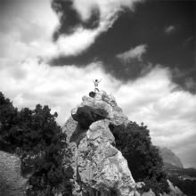 [King of the Hill} / ***