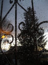 Regen / ***