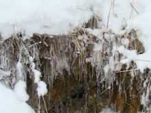 spring / ***