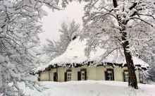 Winter / ***