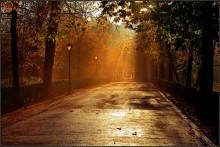Winter in Madrid ................ / ........................................