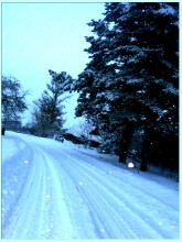 Winterdienst .. / ***