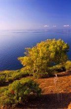 Overlooking the Mediterranean Sea with Fr. Ustica / ***