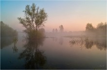 Paint dawn / ***