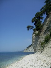 Big Blue / ***