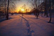On a snowy road / ***