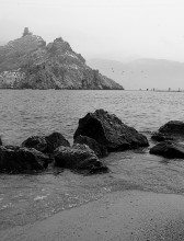cold shore / ***