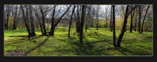 nostalgia for the spring / ***