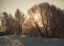 Die Januar- / ***