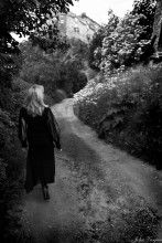 On the road to Castle / ***