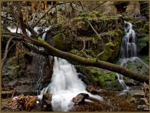 "Visiting Tales / ***