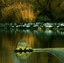 Nacht / ******