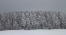 Silver / ***