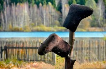 Felt boots / ***