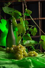 still life / ***