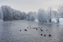 ................ Cold season ................ / ***