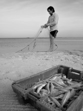 Pro Angler und Fisch / ***