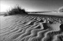 Wave phenomena / ***