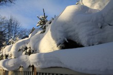 Snow / ***