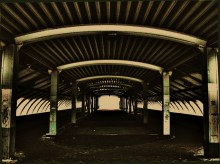 Untitled / ***