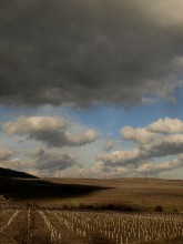 The vineyards are waiting for rain / ***