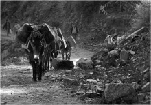 fuel delivery / ***