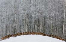 About Deer / ***
