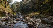 Stone River number 2 / ***