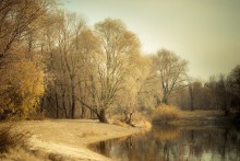 One day in November / *****
