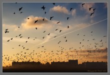 big city life / *****