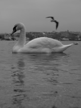 Away / ***