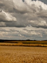 Before the storm / .....