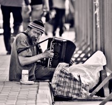 "Musician" / ***