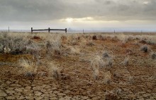 drought / ***