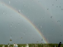 out the window / ...........