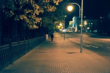Lone traveler / ***