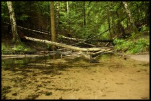 Lake Glubelka / ***