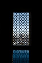 Window / ***
