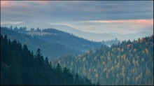 Carpathian early autumn / ***