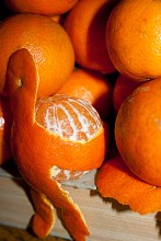 Mr. Mandarin)) / *****
