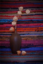 physalis / ***