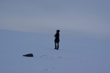 Der Weg zum neuen / ***