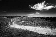 Winter dream of summer / *****