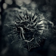  / *****