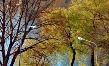 Lanterns / ***